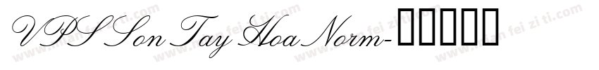 VPS Son Tay Hoa Norm字体转换
